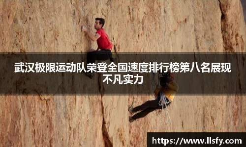 美嘉体育平台