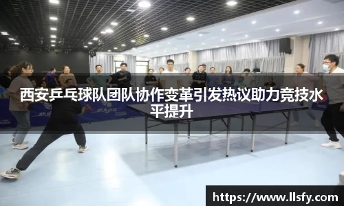 美嘉体育官网