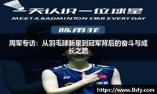 美嘉体育平台