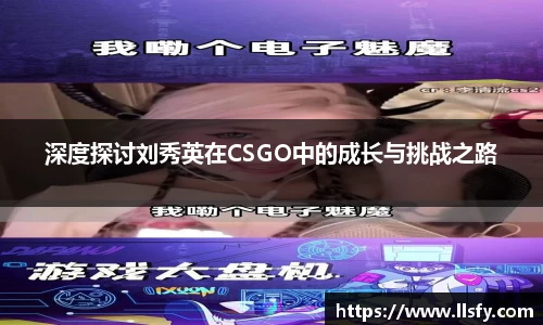 美嘉体育平台