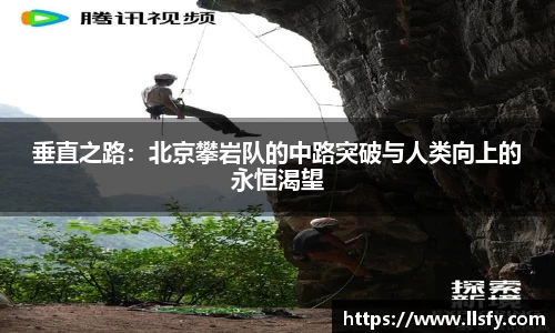 美嘉体育平台