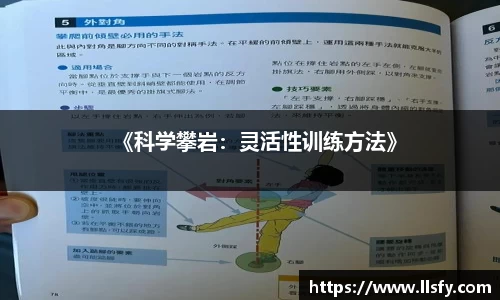 美嘉体育APP