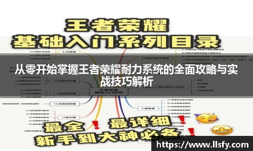 美嘉体育官网
