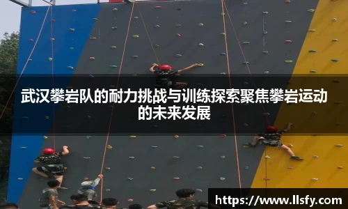 美嘉体育官网