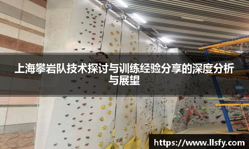 美嘉体育平台