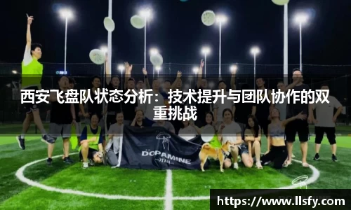 美嘉体育APP