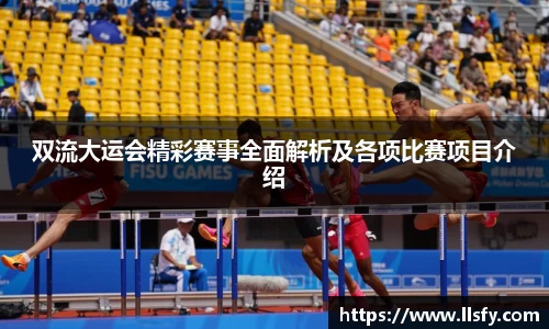 美嘉体育平台
