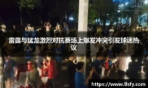 美嘉体育平台