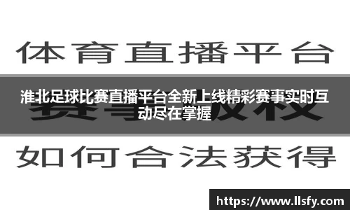 美嘉体育下载