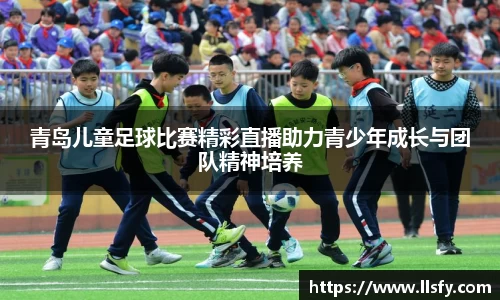 美嘉体育官网