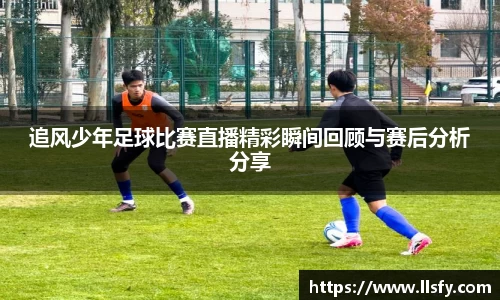 美嘉体育下载