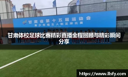 美嘉体育下载