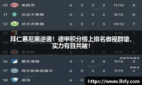 美嘉体育APP