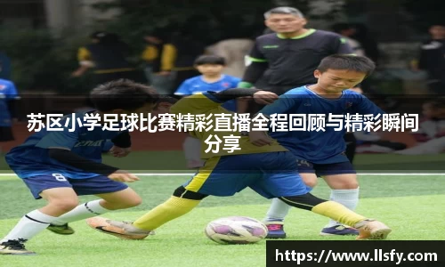 美嘉体育下载