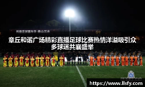 美嘉体育下载