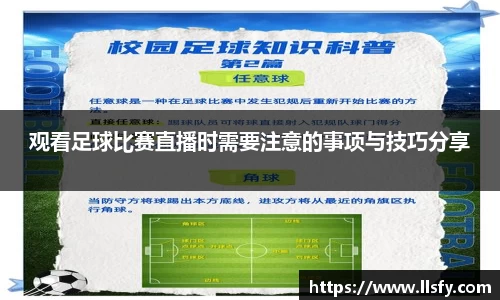 美嘉体育下载