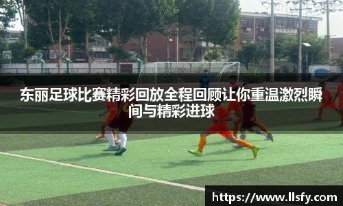 美嘉体育平台