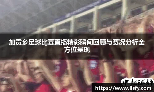 美嘉体育平台