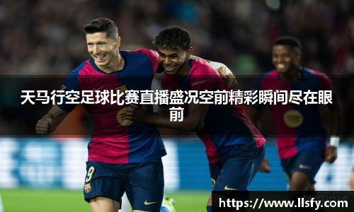 美嘉体育官网