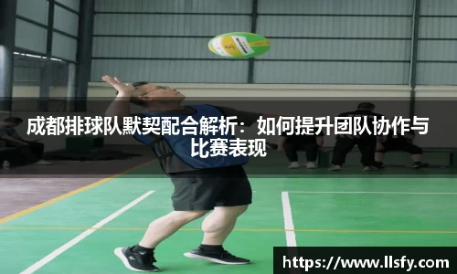 美嘉体育下载