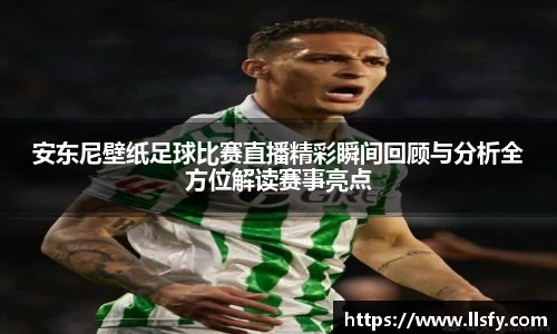 美嘉体育下载