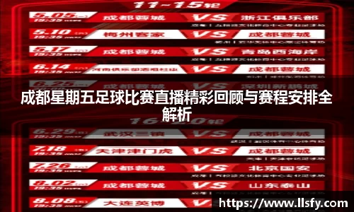 美嘉体育平台
