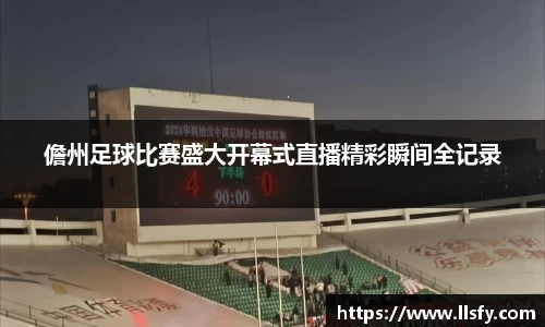 美嘉体育下载