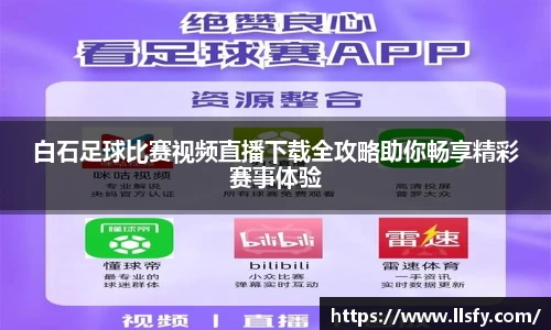 美嘉体育下载