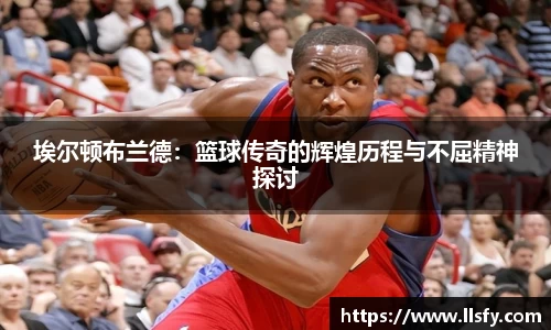 美嘉体育平台
