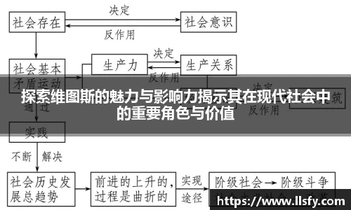 美嘉体育平台