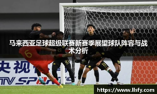 美嘉体育下载