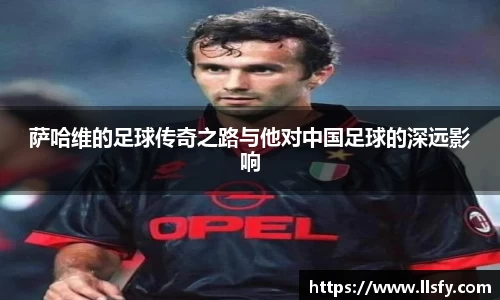 美嘉体育平台