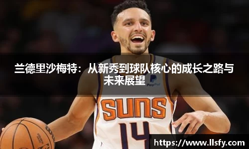 美嘉体育APP